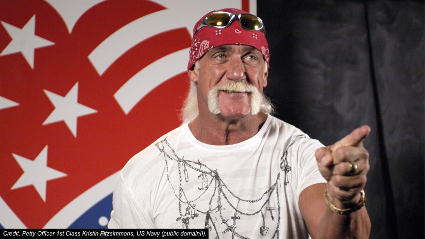 Professional wrestler, Hulk Hogan